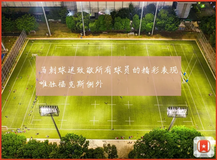 马刺球迷致敬所有球员的精彩表现唯独福克斯例外